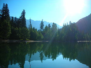 The beach on Birkenhead Lake