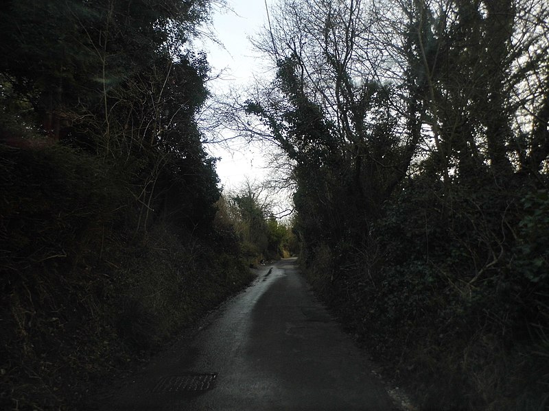 File:Blackness Lane, Keston - geograph.org.uk - 3311537.jpg