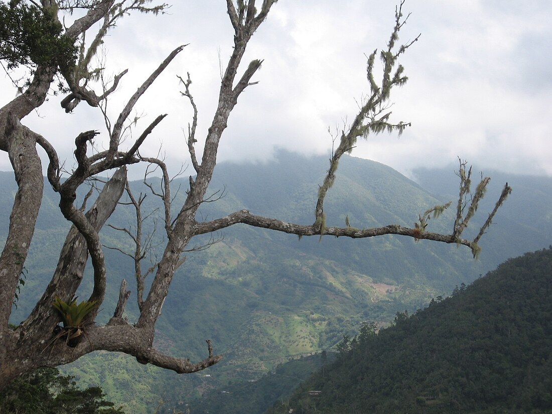 The Grand Ridge of the Blue Mountains