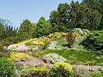 Alpinarium w Ogrodzie Botanicznym Uniwersytetu Jagiellońskiego