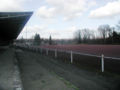 Der Sportplatz am Rand des Heider Bergsees