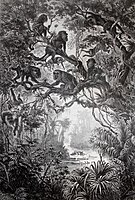 Brüllaffen am Rio Escalante, Chromolithografie nach einem Aquarell von Anton Goering, Sammlung Museum Burg Posterstein