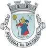 Coat of arms of Nogueira da Regedoura