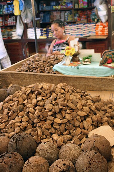 File:Brazil Nuts (28328735572).jpg