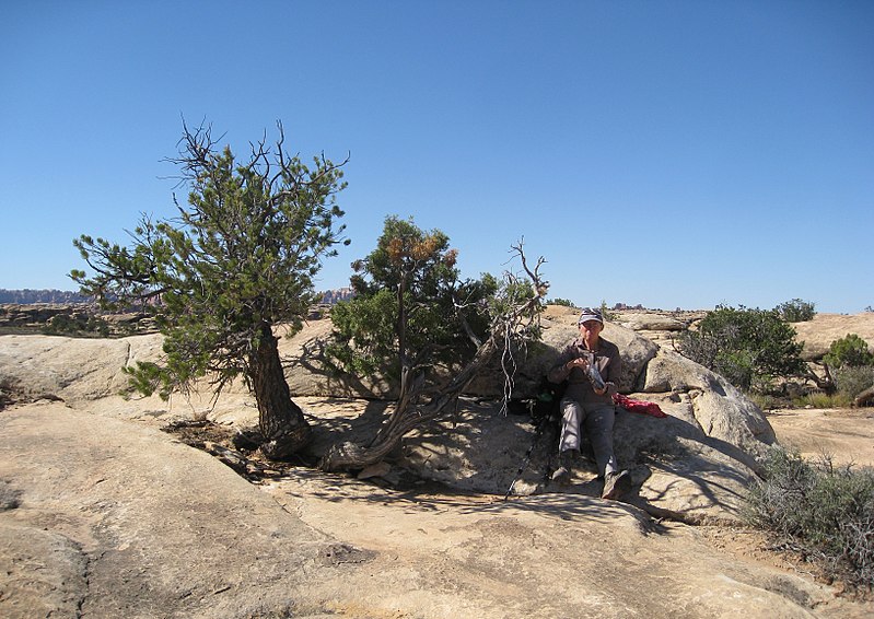 File:Brenda seeking shade in the desert - Flickr - brewbooks.jpg