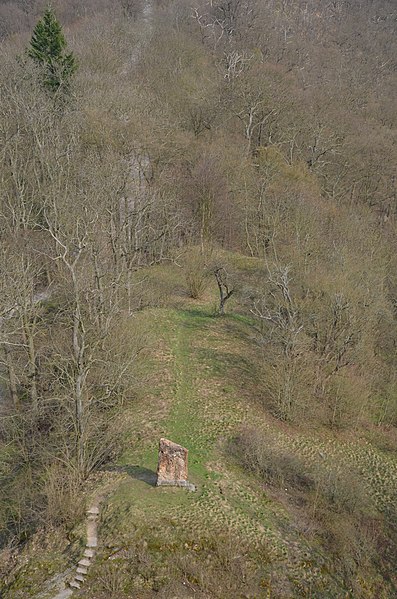 File:Burg Falkenstein im Harz - Flickr - tm-md (33).jpg