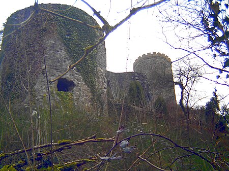 Burg hausach 2