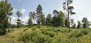 View of the tower hill