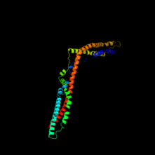 Predicted structure for CFAP157 made by Phyre