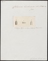 Calamaria lumbricoidea - kop - 1837 - Print - Iconographia Zoologica - Special Collections University of Amsterdam - UBA01 IZ12000245.tif