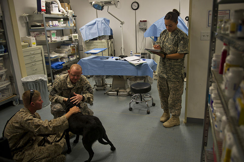File:Camp Leatherneck Veterinary Clinic 110527-F-DT527-201.jpg