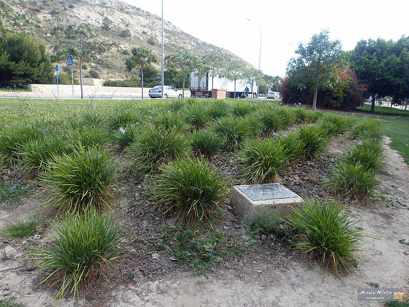 File:Campo de concentración de Los Almendros 4.jpg