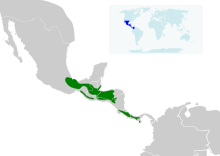 Campylopterus hemileucurus map.svg