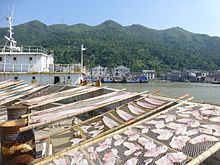 Fish being dried dockside at Pacao Harbor, Cangnan County, Zhejiang Cangnan - Pacao - P1210263.JPG