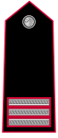 Carabinieri-OW-4.svg