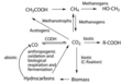 Carbon biogeochemical cycle.png