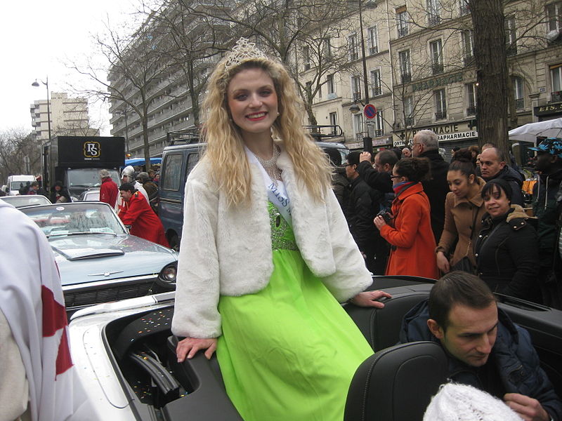 File:Carnaval de Paris 15 février 2015 14.JPG