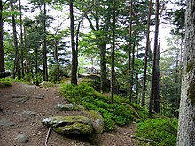 Sentier débouchant sur le sommet du Chalmont.