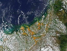 Feb 1 (2): Floods and landslides in Madagascar from Cyclone Cheneso on January 29