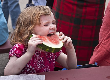 Tập_tin:Chomp,_RI_Scotish_Highland_Festival,_2012-06-09.jpg