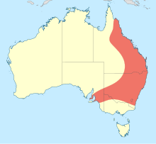 Choristhemis Distribution map.svg