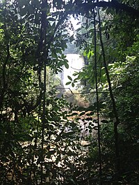 Les Chutes de Bamena, vue en aval