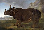 portrait de Clara le rhinocéros femelle