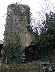 Cloghan Castle - төрт жолдың оңтүстігінде орналасқан қорғалған XVI ғасырдағы мұнара үйі [1]