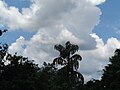 Clouds and trees 3.jpg