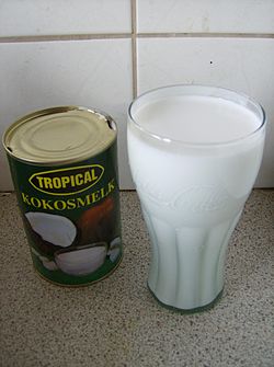 Coconut milk from can01.JPG
