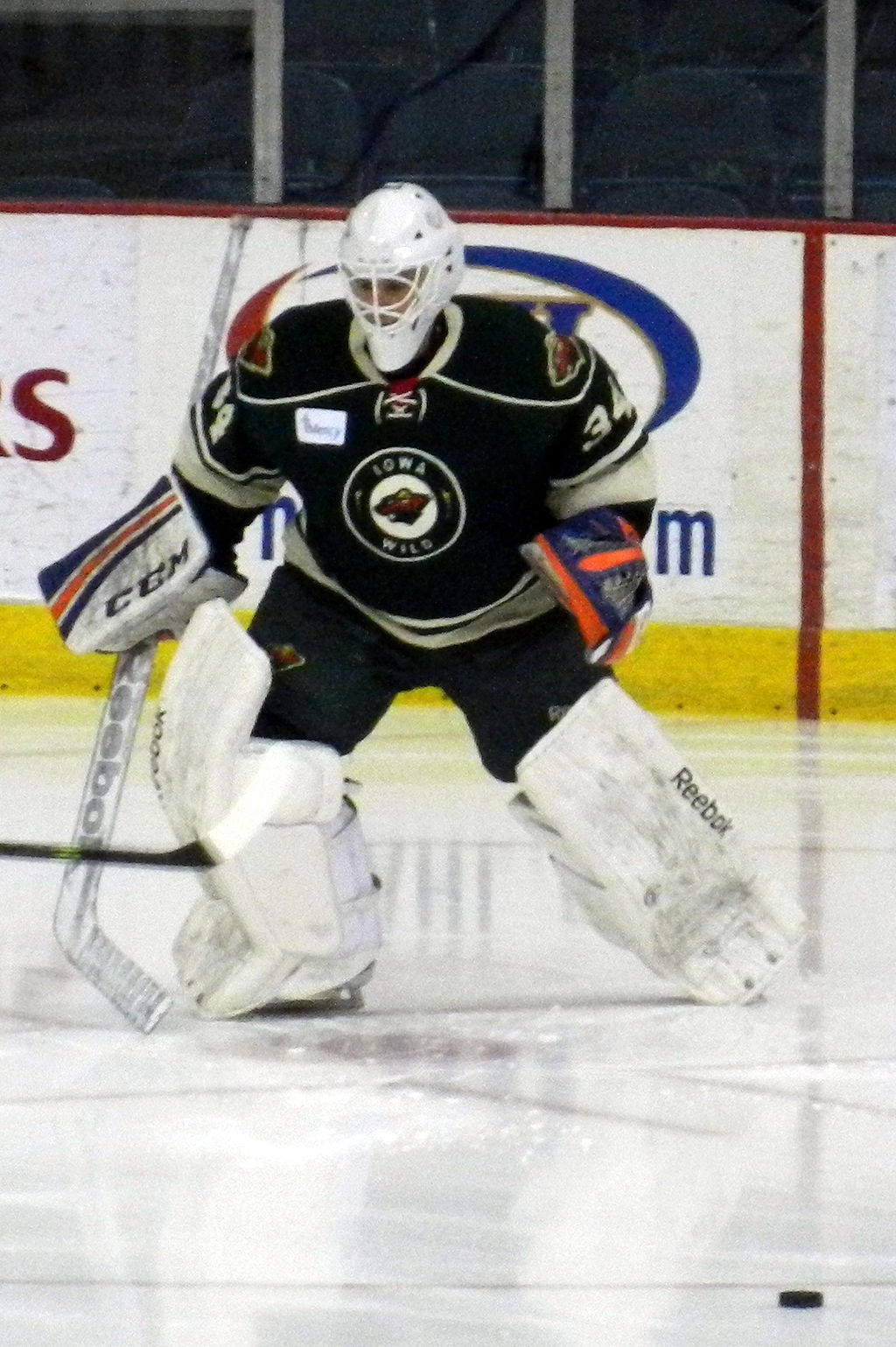 Orlando Solar Bears, Ice Hockey Wiki