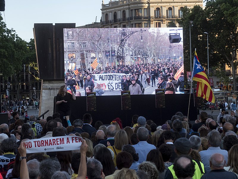 File:Concentració unitària sota el lema ‘Llibertat, l’autodeterminació és un dret‘. (Plaça Catalunya, Barcelona) (48060313267).jpg