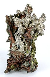 Silver-copper mineral specimen from Wolverine Mine, Houghton County, Michigan, formerly in the Seaman Museum collections. Size: 5.6 x 2.8 x 3.2 cm. Copper-Silver-hbru-03b.jpg