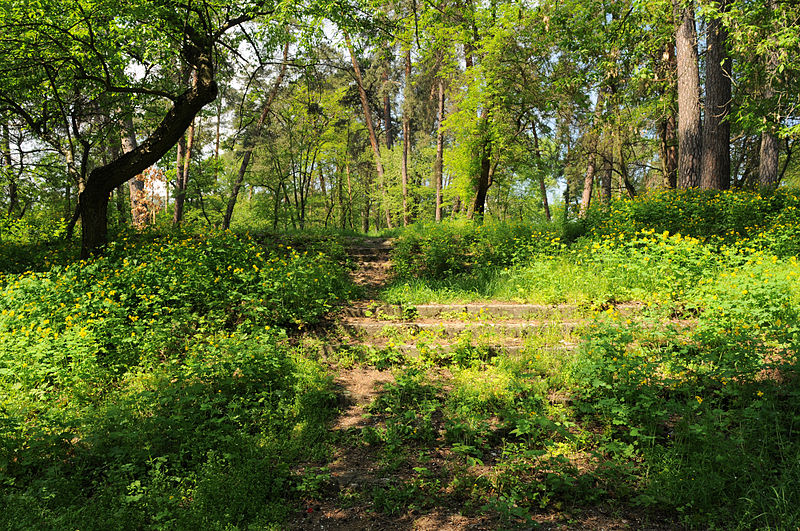 File:Czerkasy Sosniwsky park.JPG