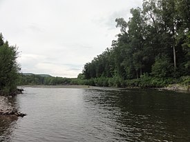 Chozenia-metsä Dagdan rannalla.