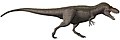 Daspletosaurus