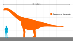 Datousaurus Scale.svg