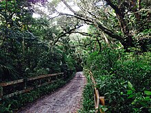 Davie's Long Key Natural Area & Nature Center