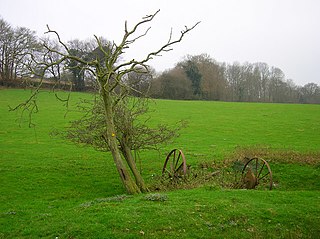 Leasam Heronry Wood