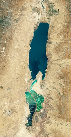 Dead sea.jpg