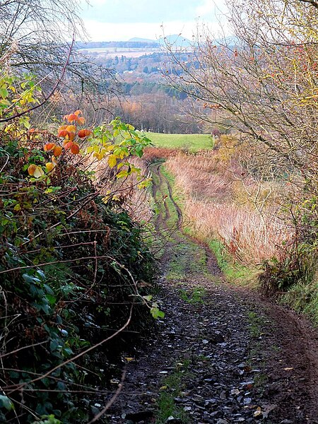 File:Dere Street descending to cross Teviotdale - geograph.org.uk - 3231690.jpg