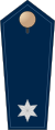 Police fédérale allemande - Service supérieur 02.svg