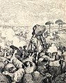 «Боротьба Дон Кіхота із стадом овець». Ілюстрація з тижневика «Die Gartenlaube». Лейпциг, 1905