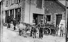 Donkeys outside a warehouse in Pwllheli, circa 1885.