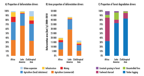 Deforestation Wikiwand