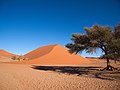 * Nomination Dune 45 in Namib-Naukluft Park --Domob 07:59, 7 July 2019 (UTC) * Promotion  Support Good quality. But filename should be better. --XRay 08:09, 7 July 2019 (UTC)