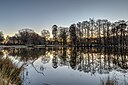 Dülmen, Wildpark -- 2019 -- 3153-9.jpg