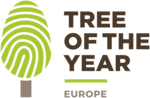 Thumbnail for European Tree of the Year