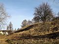 Earthworks (Hill fort of Vita-Poshtova).jpg