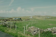 Paysage de Burra Est.